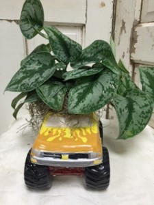 Monster Truck Plant Green Plant