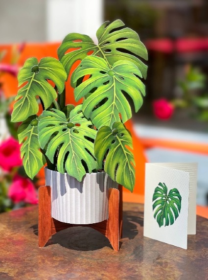 Monstera Plant Pop Up Greeting Card 