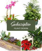Monthly Plant Subscription Plant Subscription