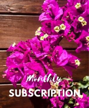 Monthly Subscription 