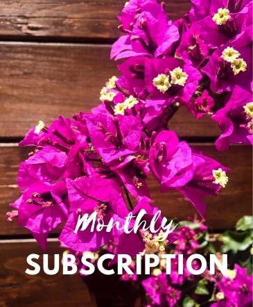 Monthly Subscription 