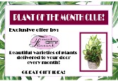 Plant of the Month Monthly Subscription