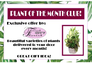 Plant of the Month Monthly Subscription
