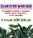 Plant of the Month Monthly Subscription