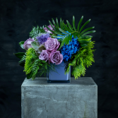 Moody Blues Winter