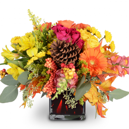 Moonlit Bonfire Arrangement