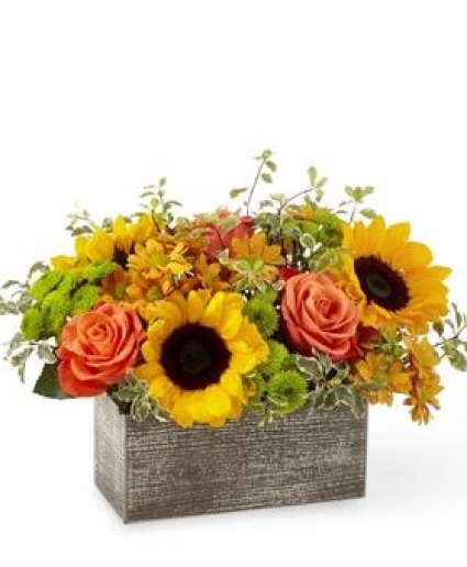 Mordern Garden  Wooden box Arrangement