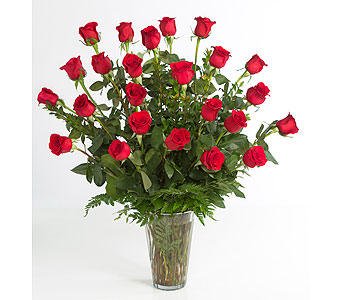 More than Wondeful! 2 Dozen Roses