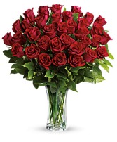 MORE THEN A DOZEN RED ROSES VALENTINES DAY ARRANGEMENT