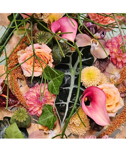 Morning Dew  Designer's Choice