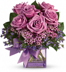 Morning Melody of Love Roses