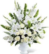 Morning Star Arrangement 