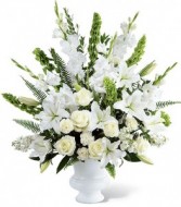 MORNING STARS ARRANGEMENT