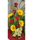 Mo's Special Roses