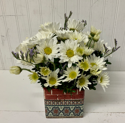 Daisy Delight