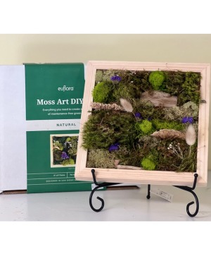 Moss Art Kit DIY
