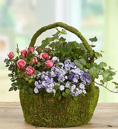 Moss Basket mixed blooming and green plants in Northport, NY | Hengstenberg's Florist