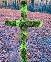 Moss Cross 