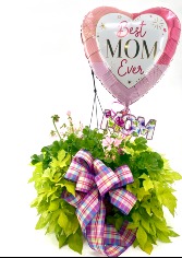 MOM Love Bundle Hanging Basket  in Zanesville, Ohio | FLORAFINO'S FLOWERS & GIFTS
