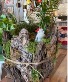 Mossy Bark Planter 