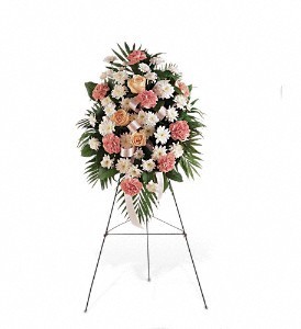 Most Gentle Thoughts Standing Spray