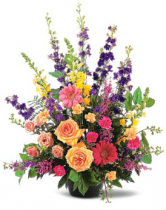 Category Image