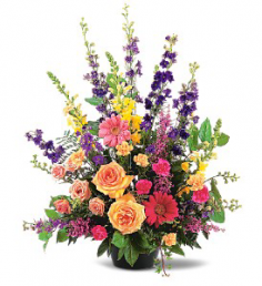 Category Image