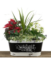 Most Wonderful Time of the Year Planter