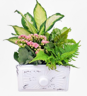 Mother of Pearl Garden Planter