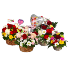 Mother's Day Basket Mix Flower Arrangement 