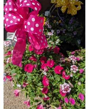 Mothers' Day Blooming Hanging Basket Blooming live flowers 