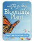 Mother's Day Blooming Plant Plant