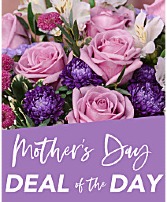 Mother's Day Deal Of The Day