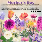 Mother's Day Designer Choice 