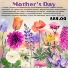 Mother's Day Designer Choice 