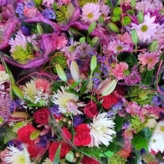 Category Image
