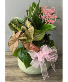 Mother's Day Dish Garden