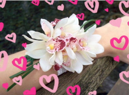  Double Orchid Wrist Corsage  Adored with ribbon and glitz. 
