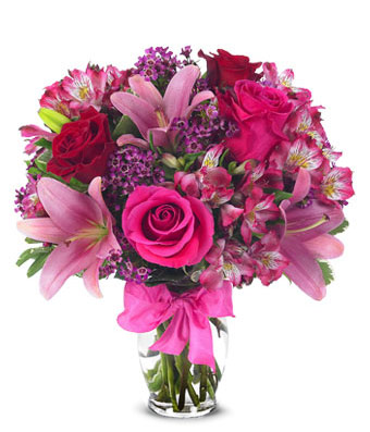 Magnificent Flowers