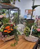 Mothers Day Gardens Plants