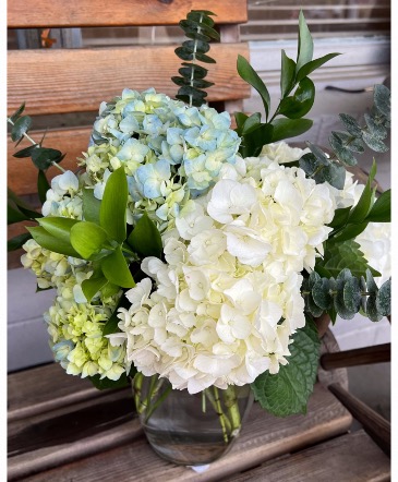 Hydrangea mix arrangement Hydrangea Mix in Pensacola, FL | Cordova Flowers and Gifts