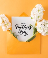 MOTHER'S DAY INFORMATION