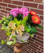 Mother's Day live plants basket 