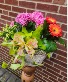 Mother's Day live plants basket 