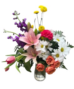 Category Image