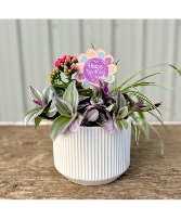Mother's Day Mixed planter ceramic Planter 
