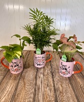 Mother's Day Mugs Plants