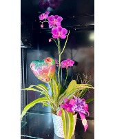 Mothers Day Orchid Garden SOLD OUT!!!