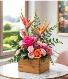 Spa Day Paradise Enchanted Design