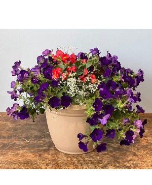Mother's Day Patio Plants Lucious Patio Planters
